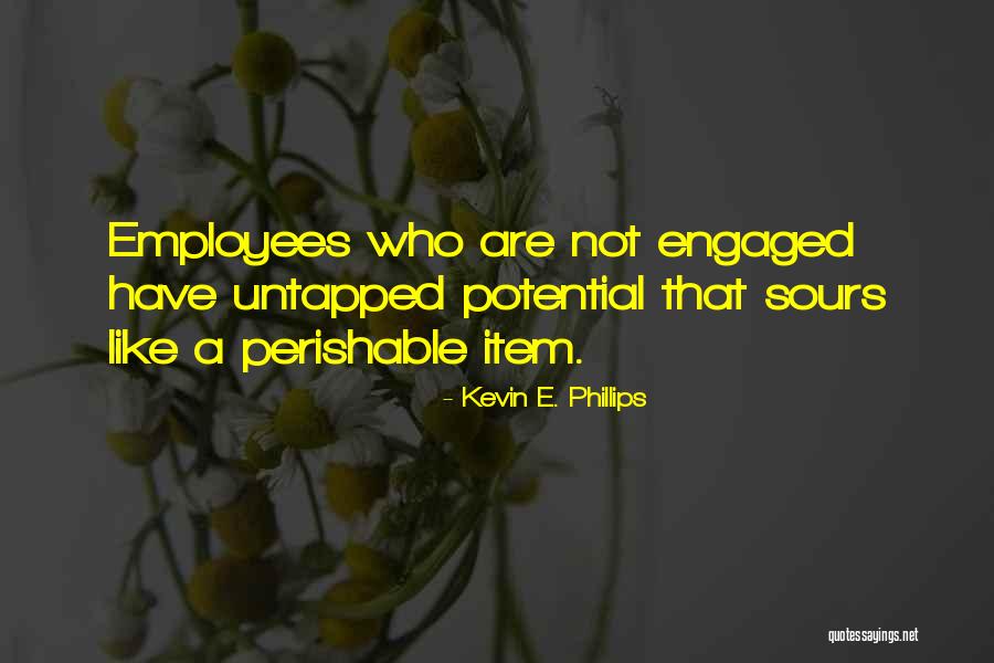 Leadership Culture Quotes By Kevin E. Phillips Leadership Culture Quotes By Kevin E. Phillips