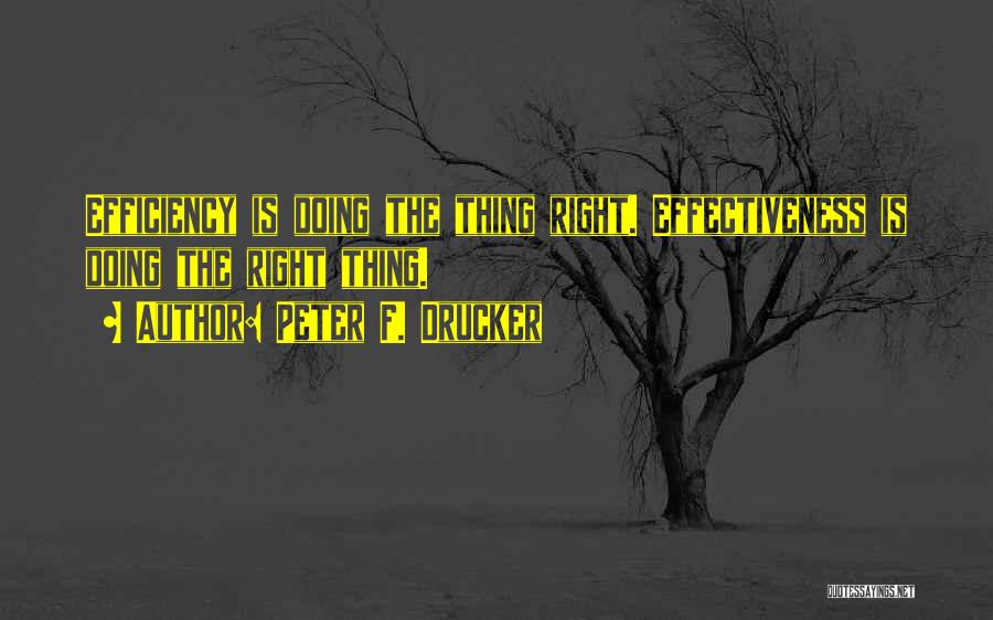 Leadership Doing The Right Thing Quotes By Peter F. Drucker