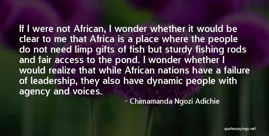 Leadership Failure Quotes By Chimamanda Ngozi Adichie Leadership Failure Quotes By Chimamanda Ngozi Adichie
