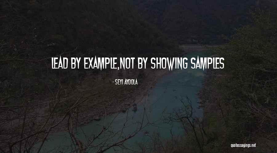 Leadership Lead By Example Quotes By Seyi Ayoola