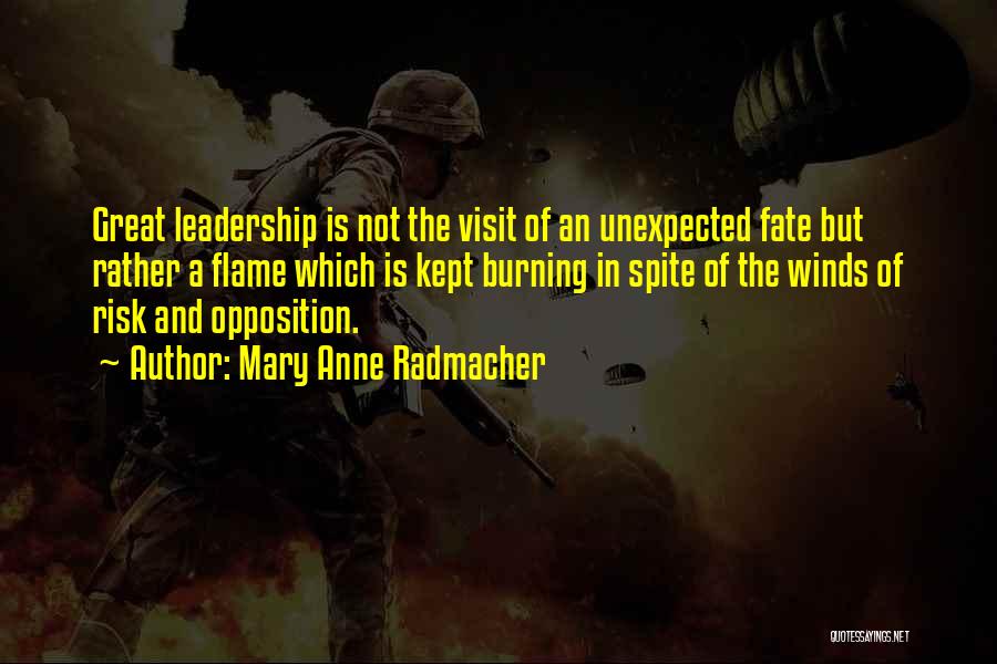 Leadership Opposition Quotes By Mary Anne Radmacher