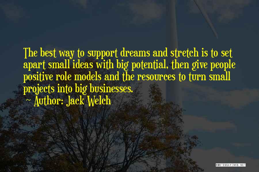 Leadership Role Quotes By Jack Welch