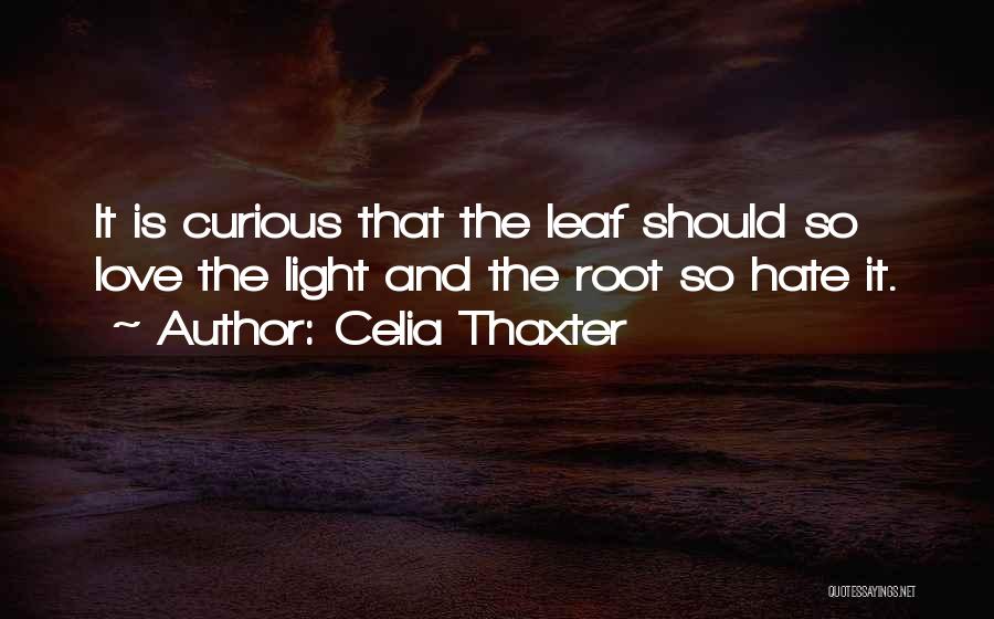 Leaf And Love Quotes By Celia Thaxter
