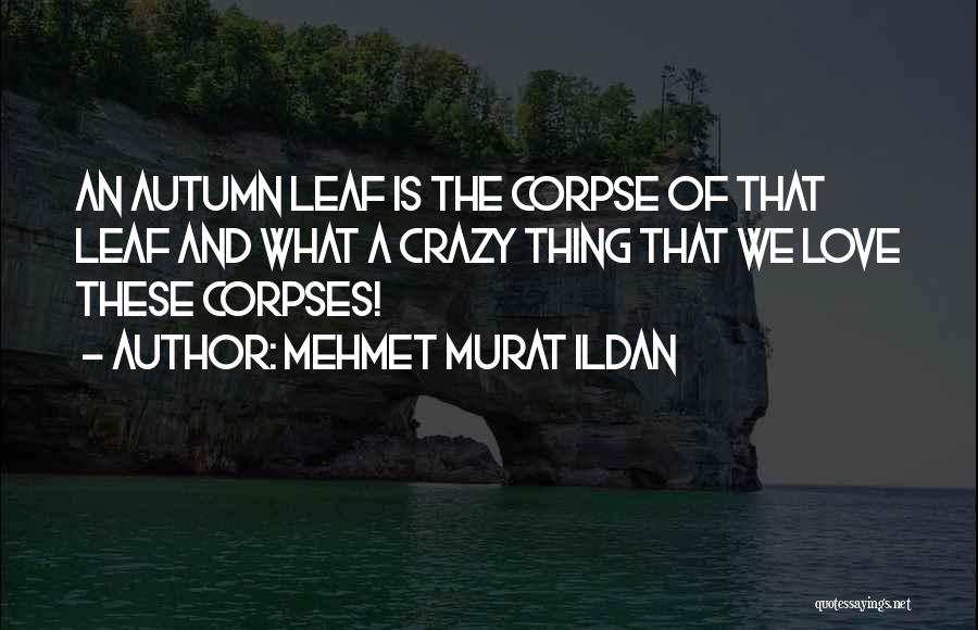 Leaf And Love Quotes By Mehmet Murat Ildan
