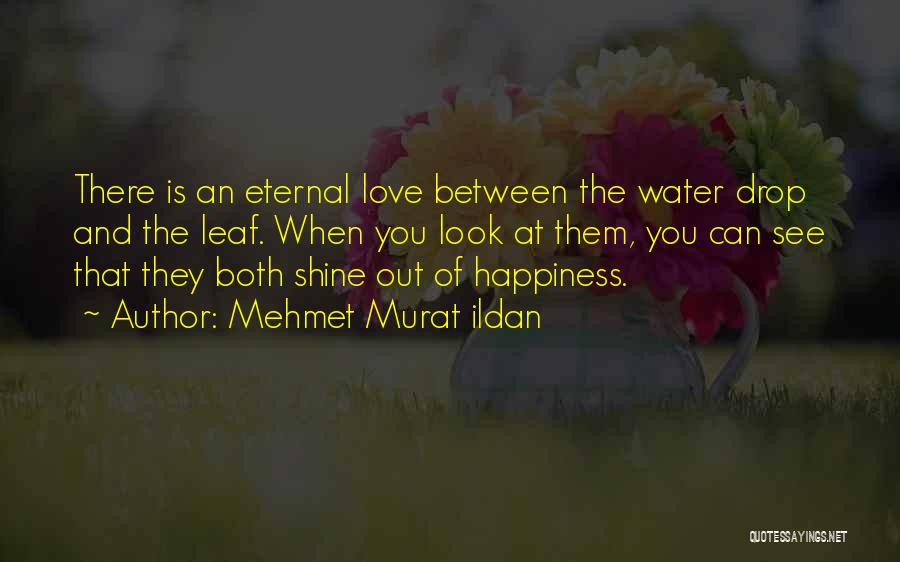 Leaf And Love Quotes By Mehmet Murat Ildan