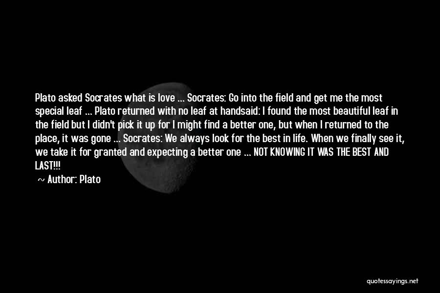 Leaf And Love Quotes By Plato