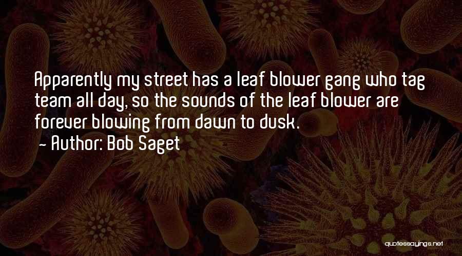 Leaf Blower Quotes By Bob Saget