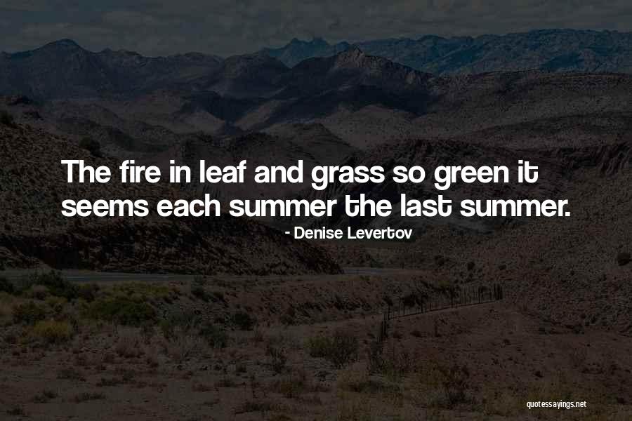 Leaf Green Quotes By Denise Levertov