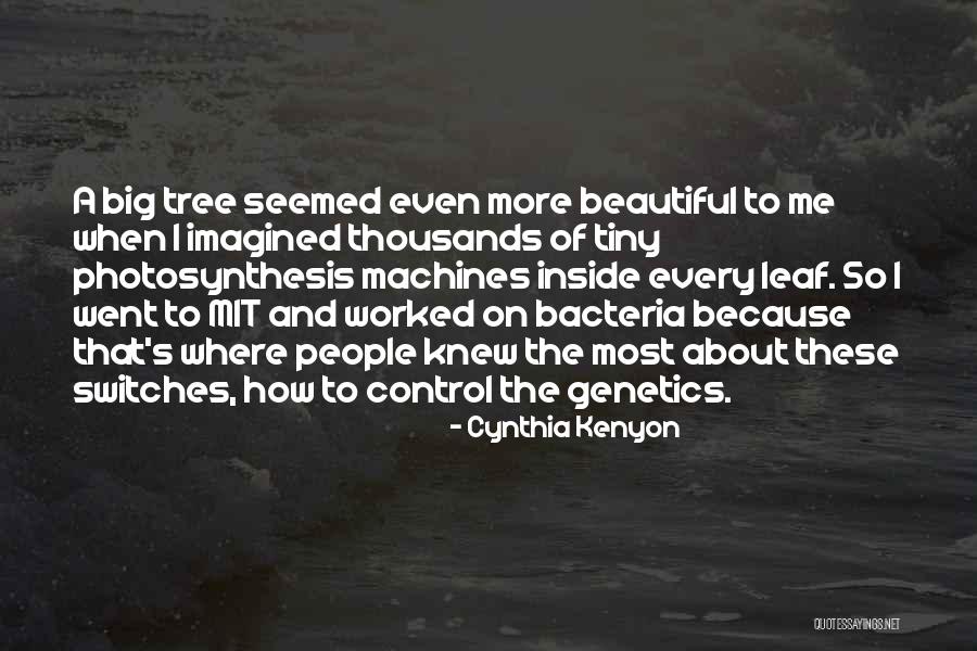 Leaf Quotes By Cynthia Kenyon Leaf Quotes By Cynthia Kenyon