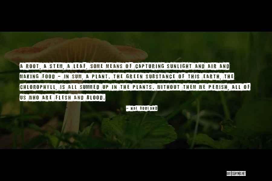 Leaf Quotes By Hal Borland Leaf Quotes By Hal Borland