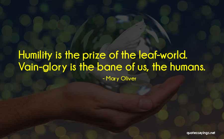 Leaf Quotes By Mary Oliver Leaf Quotes By Mary Oliver