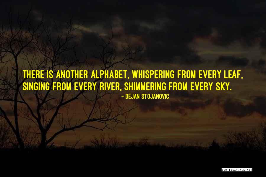 Leaf Quotes Quotes By Dejan Stojanovic Leaf Quotes Quotes By Dejan Stojanovic