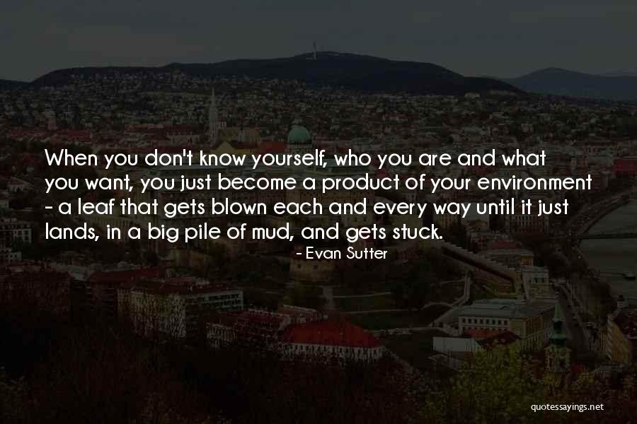 Leaf Quotes Quotes By Evan Sutter Leaf Quotes Quotes By Evan Sutter