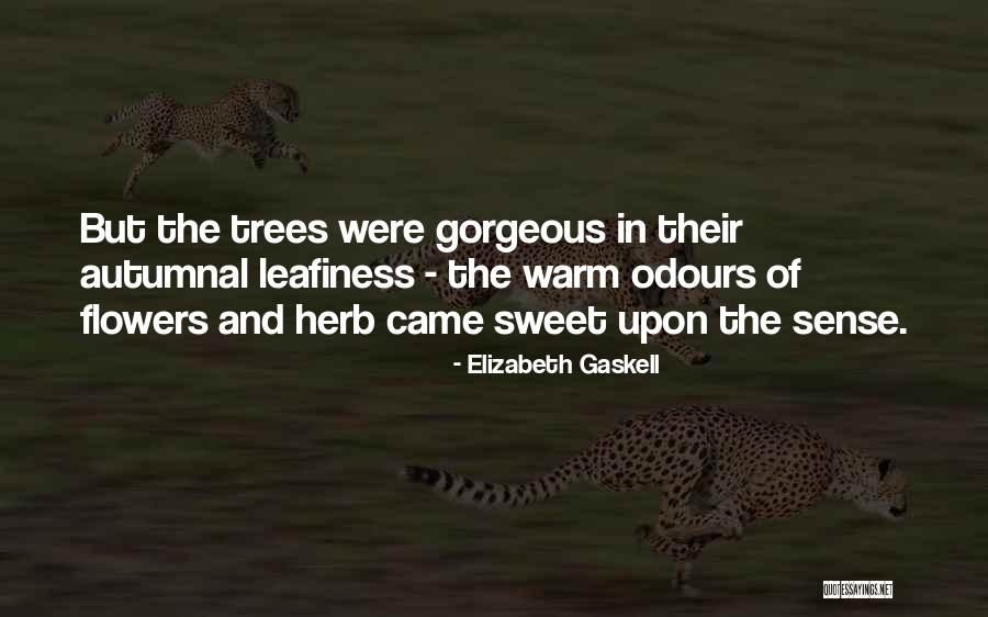 Leafiness Quotes By Elizabeth Gaskell Leafiness Quotes By Elizabeth Gaskell