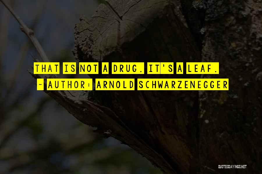 Leafs Quotes By Arnold Schwarzenegger
