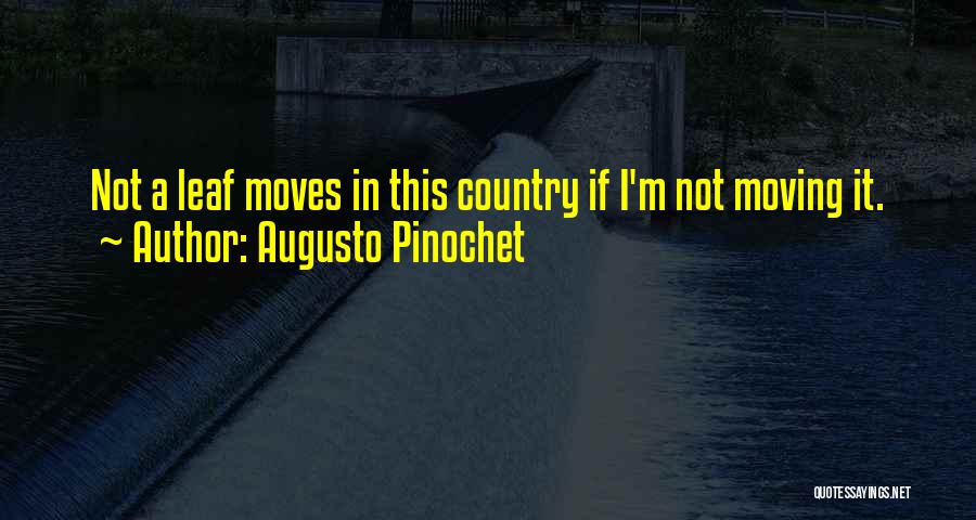 Leafs Quotes By Augusto Pinochet