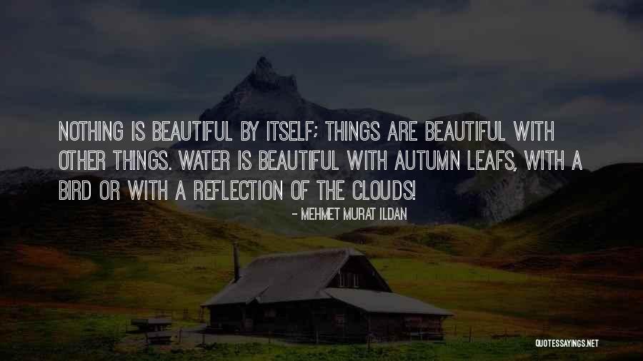 Leafs Quotes By Mehmet Murat Ildan