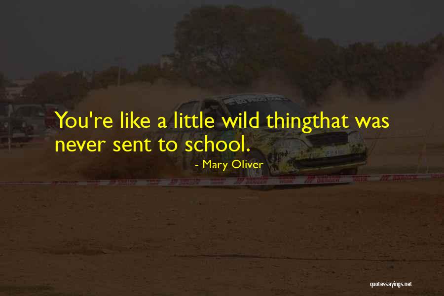 League Crawdad Man Quotes By Mary Oliver League Crawdad Man Quotes By Mary Oliver