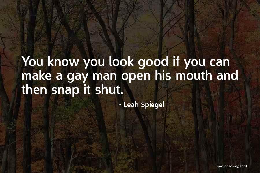 Leah Spiegel Quotes 2028753