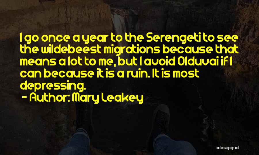 Leakey Quotes By Mary Leakey