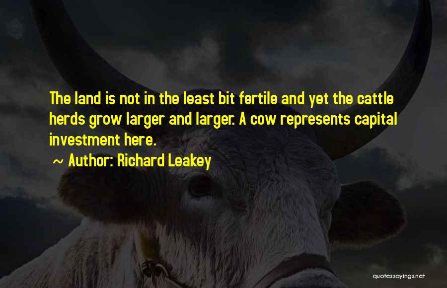 Leakey Quotes By Richard Leakey