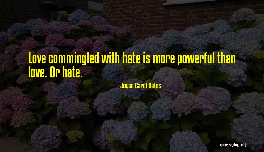 Leaks Funeral Home Chicago Quotes By Joyce Carol Oates Leaks Funeral Home Chicago Quotes By Joyce Carol Oates