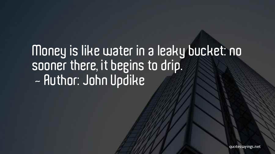 Leaky Quotes By John Updike