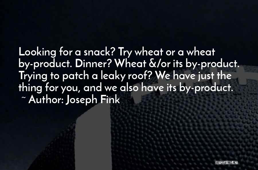 Leaky Quotes By Joseph Fink