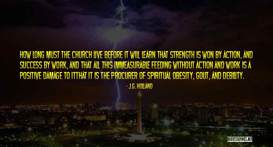 Leandria Johnson Quotes By J.G. Holland