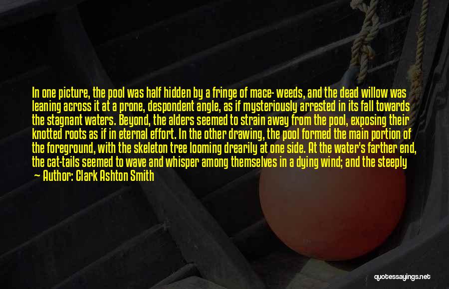 Leaning On Wall Quotes By Clark Ashton Smith