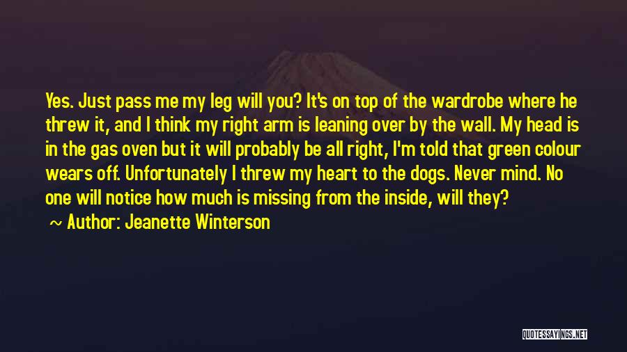 Leaning On Wall Quotes By Jeanette Winterson