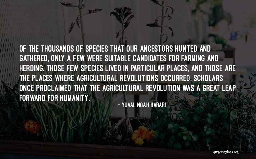 Leap Forward Quotes By Yuval Noah Harari Leap Forward Quotes By Yuval Noah Harari