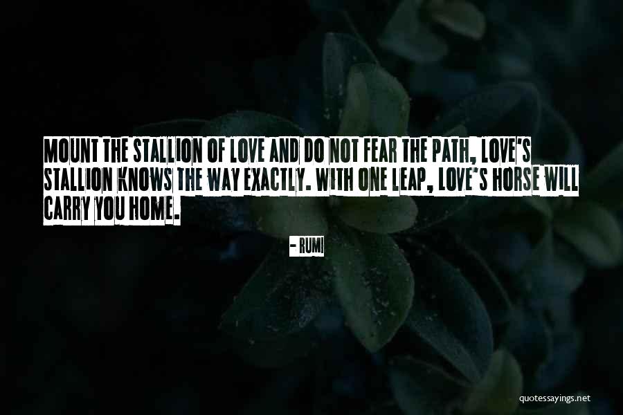 Leap Love Quotes By Rumi Leap Love Quotes By Rumi