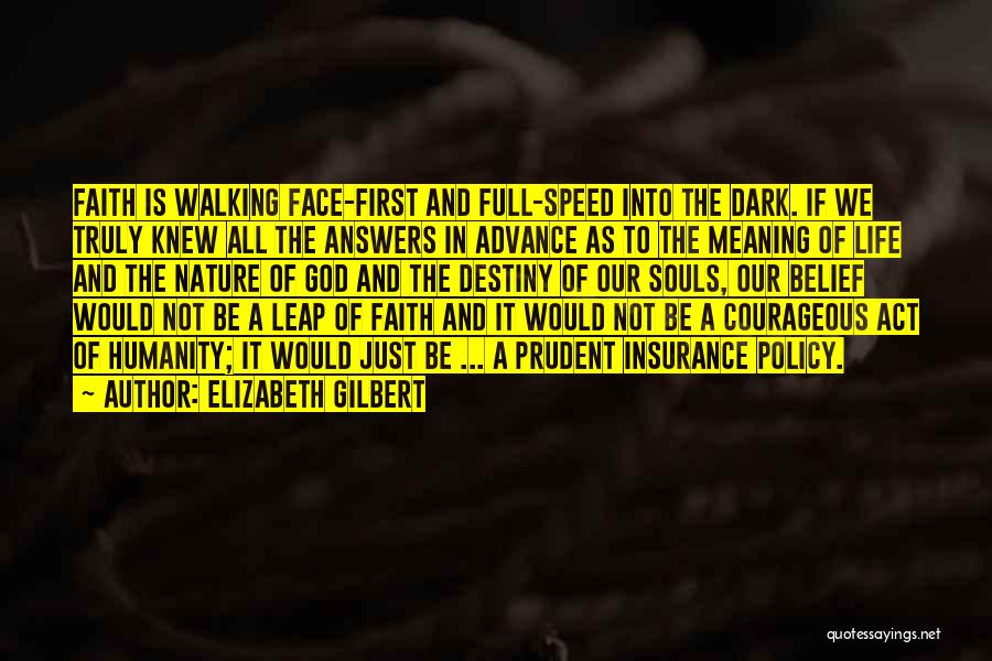 Leap Of Faith Quotes By Elizabeth Gilbert