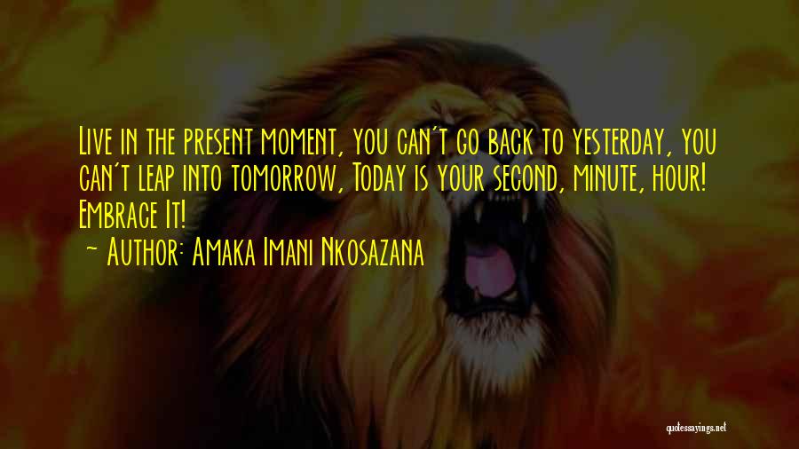 Leap Second Quotes By Amaka Imani Nkosazana