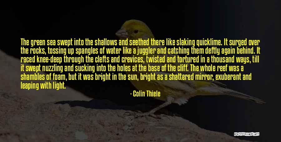 Leaping Quotes By Colin Thiele