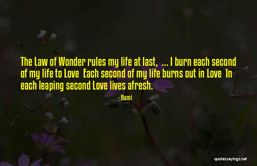 Leaping Quotes By Rumi