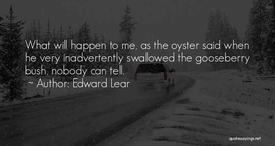 Lear Quotes By Edward Lear