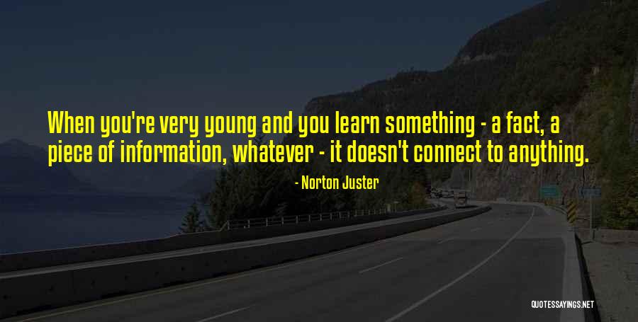 Learn And Connect Quotes By Norton Juster Learn And Connect Quotes By Norton Juster