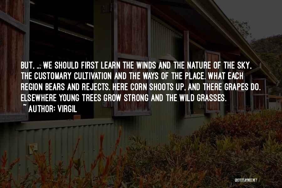 Learn And Grow Quotes By Virgil