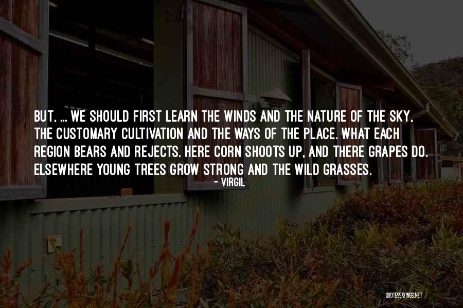 Learn And Grow Quotes By Virgil