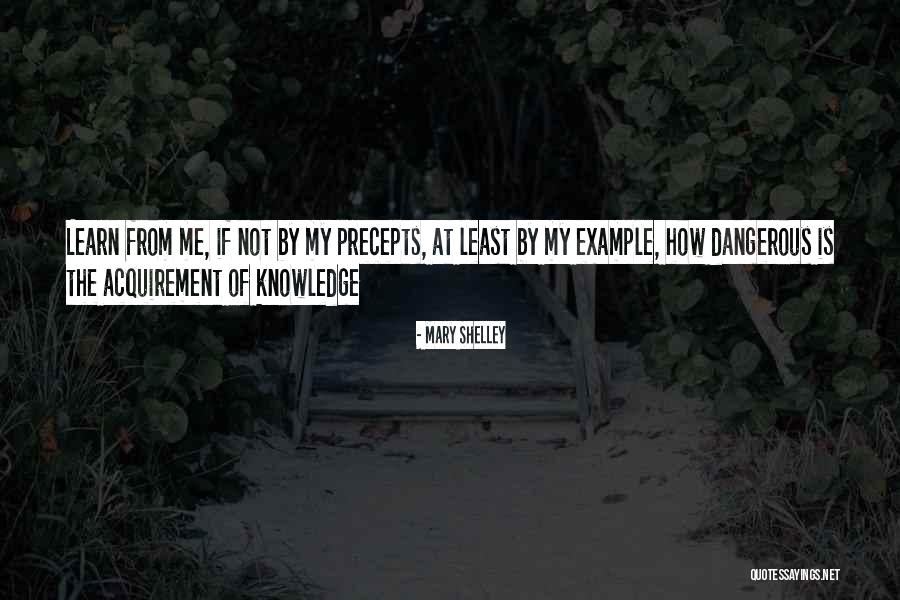 Learn By Example Quotes By Mary Shelley Learn By Example Quotes By Mary Shelley
