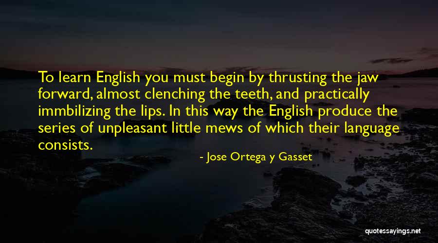 Learn English Quotes By Jose Ortega Y Gasset Learn English Quotes By Jose Ortega Y Gasset