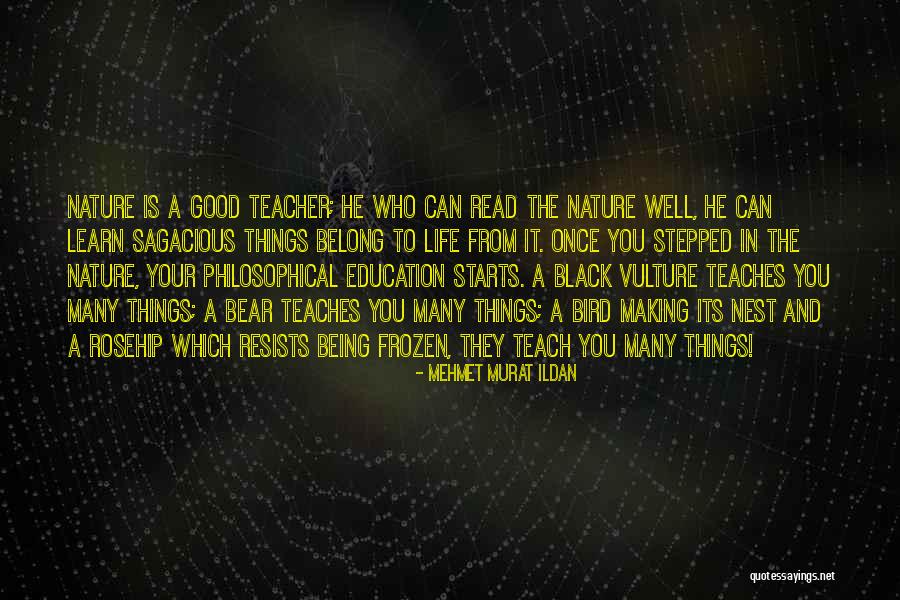 Learn From A Teacher Quotes By Mehmet Murat Ildan Learn From A Teacher Quotes By Mehmet Murat Ildan