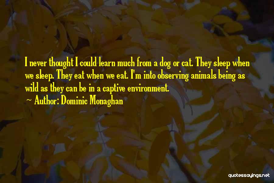 Learn From Animals Quotes By Dominic Monaghan