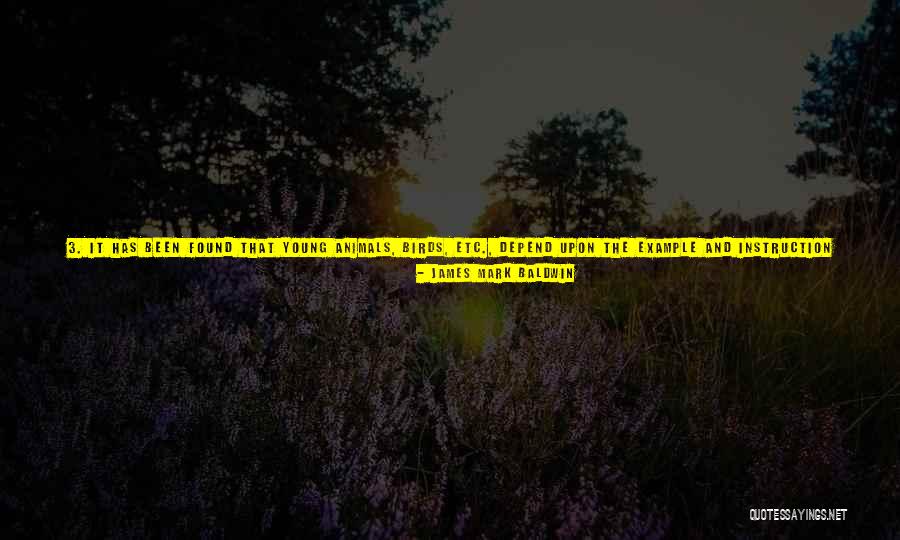 Learn From Example Quotes By James Mark Baldwin Learn From Example Quotes By James Mark Baldwin