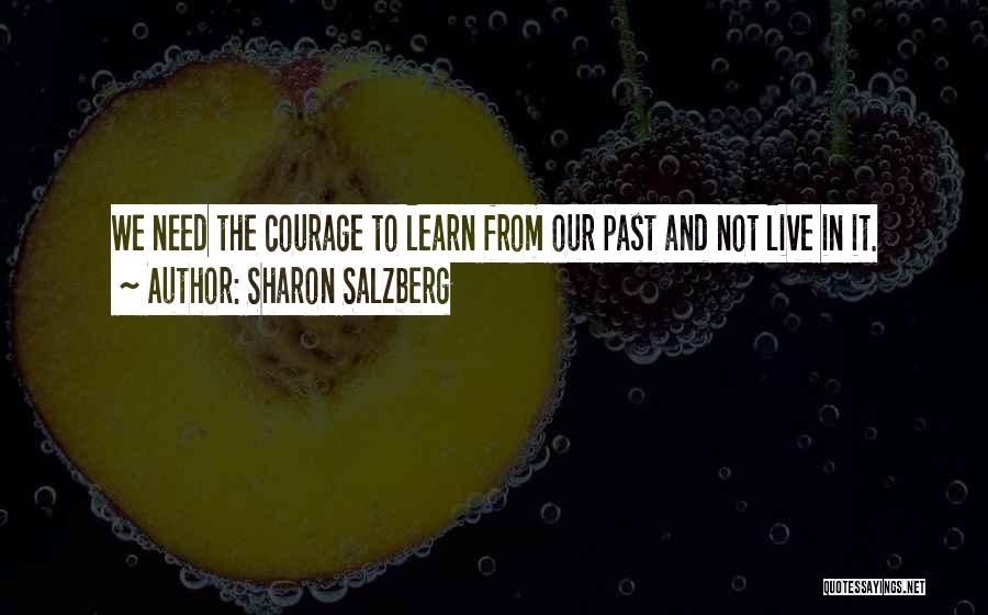 Learn From History Quotes By Sharon Salzberg