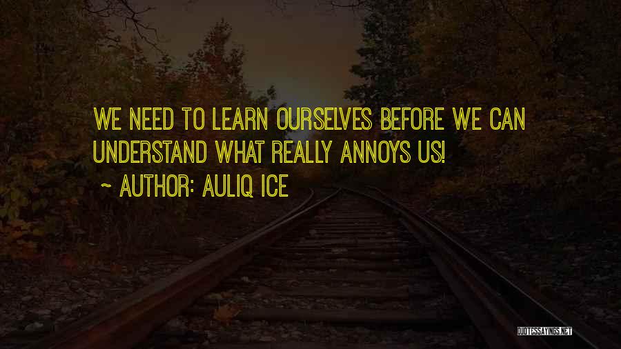 Learn From Mistakes Love Quotes By Auliq Ice