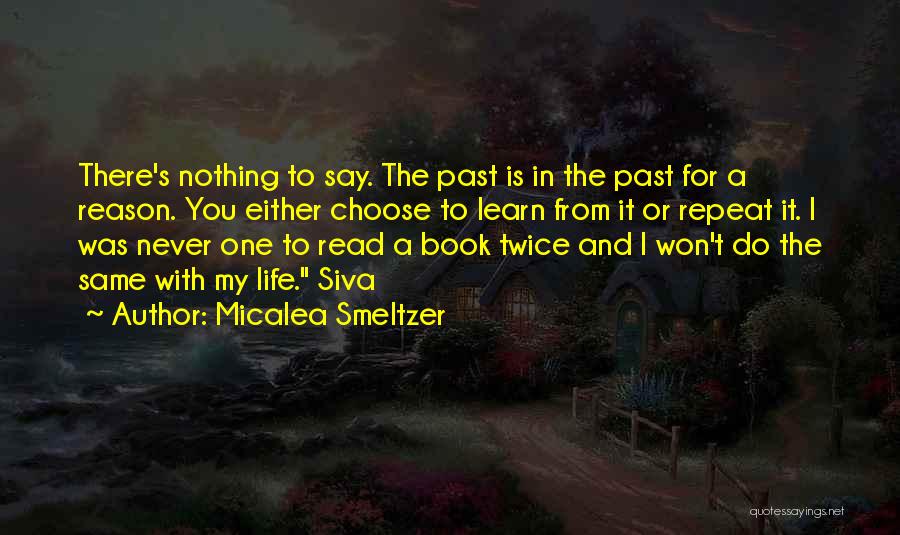 Learn From My Past Quotes By Micalea Smeltzer