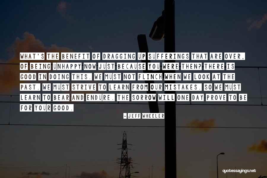 Learn From Our Mistakes Quotes By Jeff Wheeler Learn From Our Mistakes Quotes By Jeff Wheeler